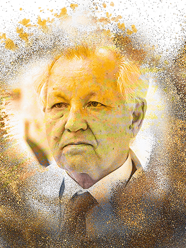 Владимир Пешехонов
